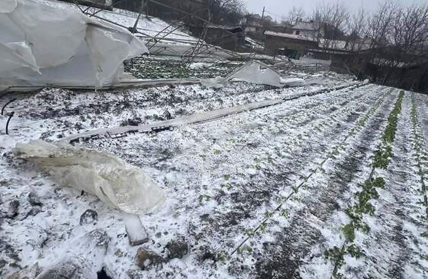 ���������� ��������� �� ���������� ����� ��������� ���� �������� �� ��������� ���������� �� ��������� �������������� �������