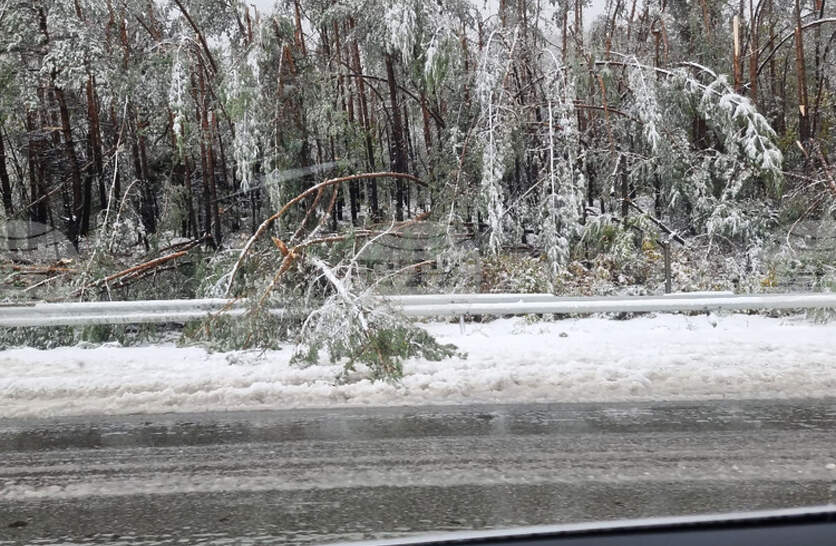 ����� ����� ������ ������� �� �������� ��� ��������� � ������, ���� ����������