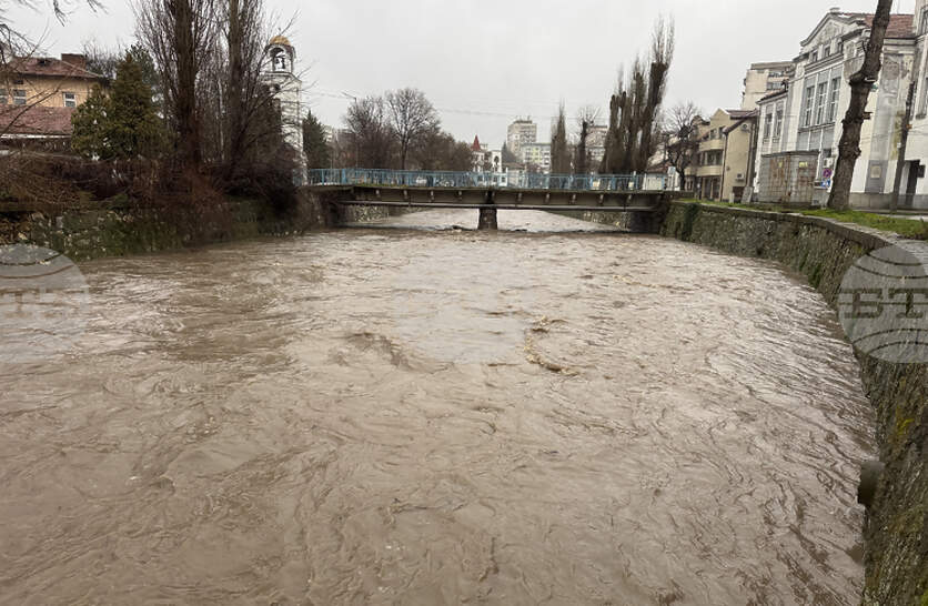 ����� �� ��������� �� �������� ����������� �� ������� ������������ � ������ �������, ������ ��� ������ ������� � �������� �����