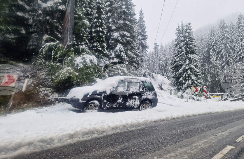 ������������ � ������ �� ����������� ���������� ���� ��������� ��������� � �������