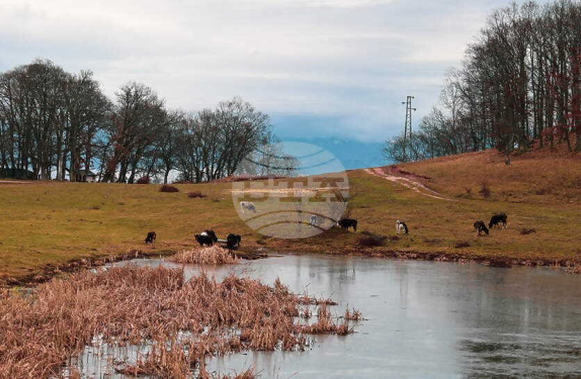 ����������� ��������� ��� �� �������� ����