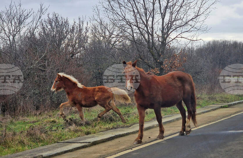 ���������� � ����������������� ������� � �������������� ������, � ������� �� ������� �����, �� �������� �� ������� ����� � ���������