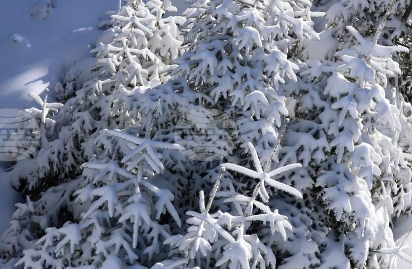 �������� �� ������� �� 4 �������� (�����) � ���������� ���