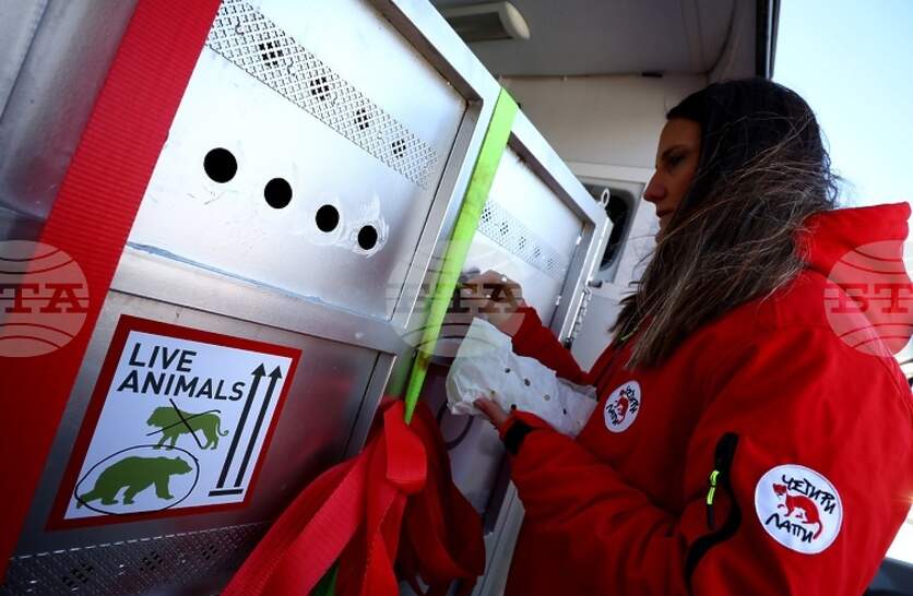 ��� ����� �� ��������� ����������� �� ������ ������ ������, �� �� ������� ��� ����� � ��������