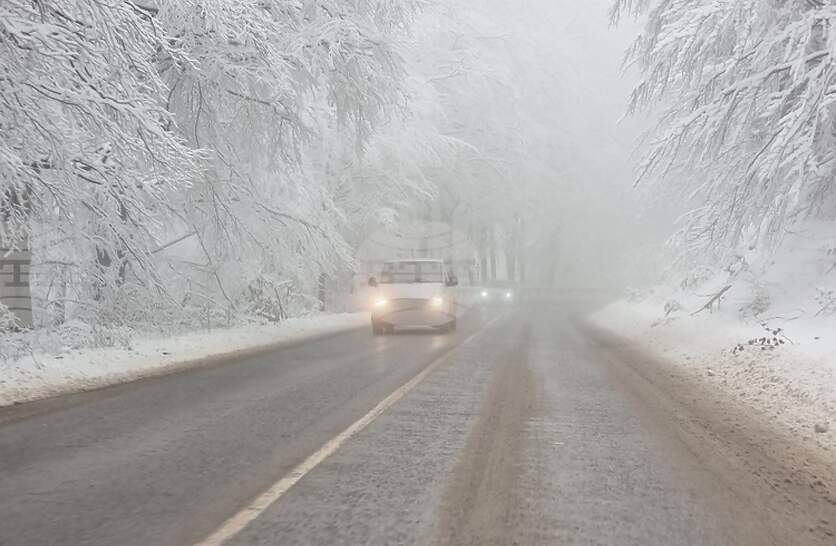 �������� � ��������� �� ��������� ��� ����� �������, 31 ������ ���������� ����� ����������