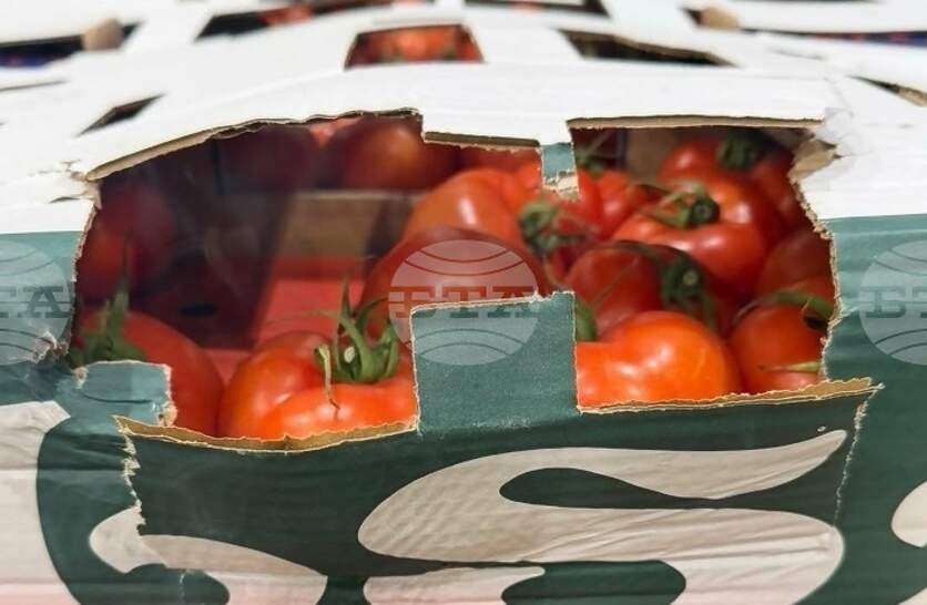 ������������� ��� 14 ���� ��������� ���������� ������������ ��������� �� ���� 