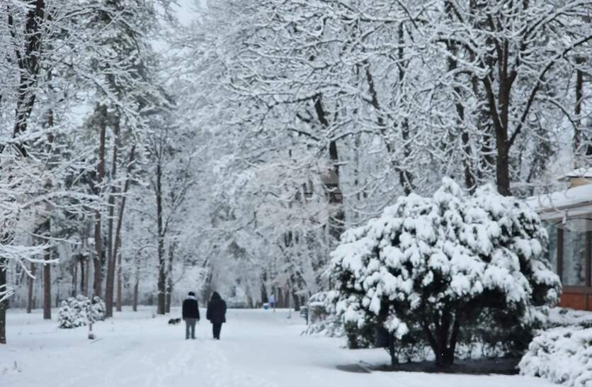 ��������� � ������� ���������� � ������ �������, ��������� �� ���������-������������� �������� �� ��� �����