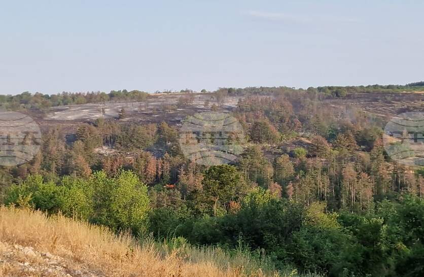 ������������� ����������� ���������� �������� �� ���������� �� �������� ���� ������� ��� � ������ ������ �������