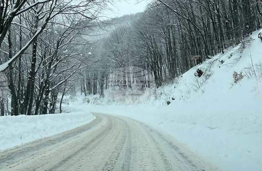 ���� 37 ��������������� ������ ��������� �������� � ������ ����� ������