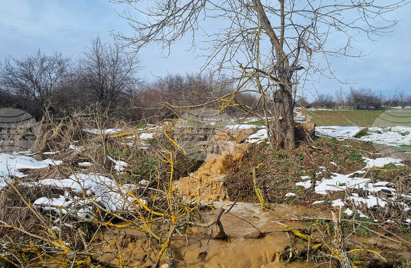 ������ ������������ ����������� ��������� � ���������� �� �������� ������������