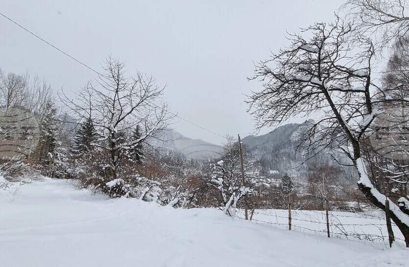 ������ �������� ����� ��������� ��������� �� ����� ����