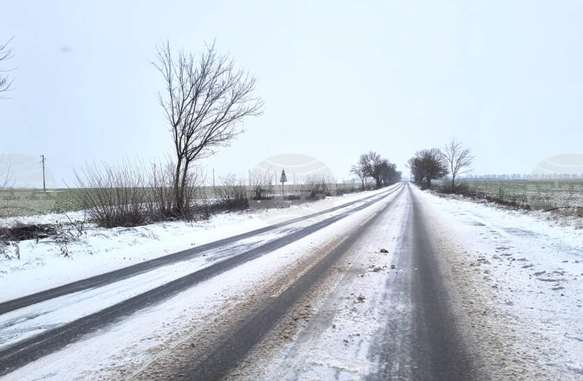 �������� � ���������� ���������� �� ������� ���������� ��� 12 ���� �� ������ ����������� �� ��������������� ����� ����� � ������ ������