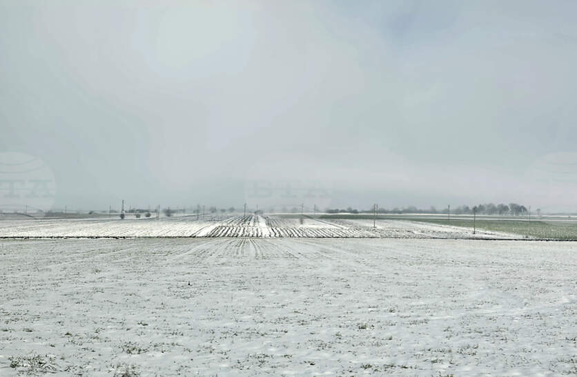 �������� �� ������� �� 11 �������� (�����) � ���������� ���