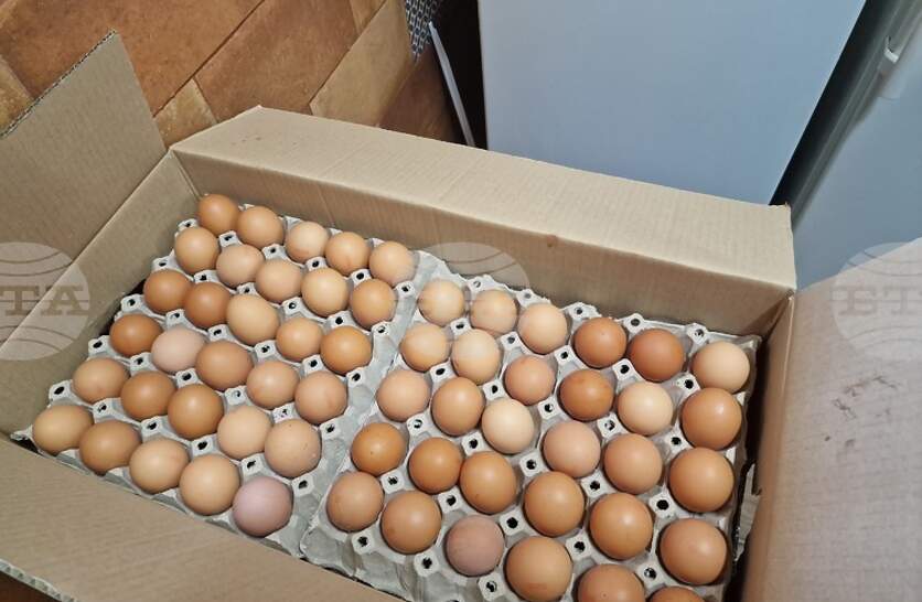 ��� 86 000 ������ ���� ��� ���������, ������� ��� ��������� ����� � ��������� � ��������, �� ����� ���������