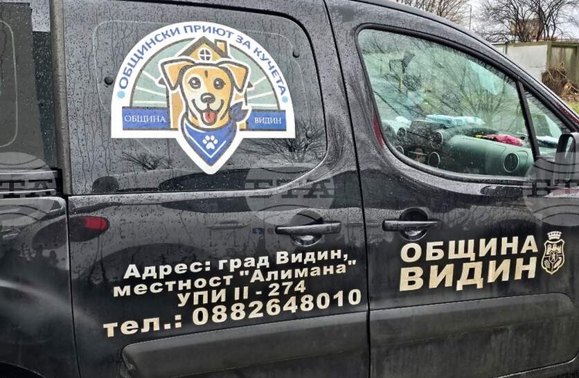 ���������� ����� �� ������ ��� ����� ������� ��������� ��������� �� �����