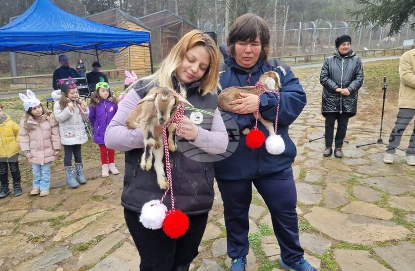 � ��������� �������� ��������� � ����� ������ �� �������� 1 ����