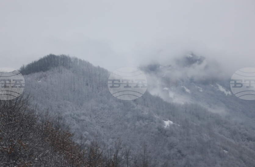 ��������� �������� � ��������� ������ ������, ������������ �� ����������� ���������� ������ �� ���