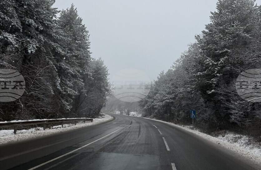 ��������������� ������ �� ���������� �� 290 ���������, ��������� � ��������� �� ��� ����� �������