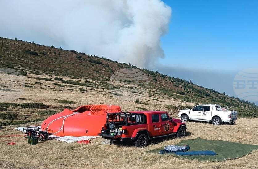 ������������ ������������ � ����������� ������� �������� �� ��������� �� �������