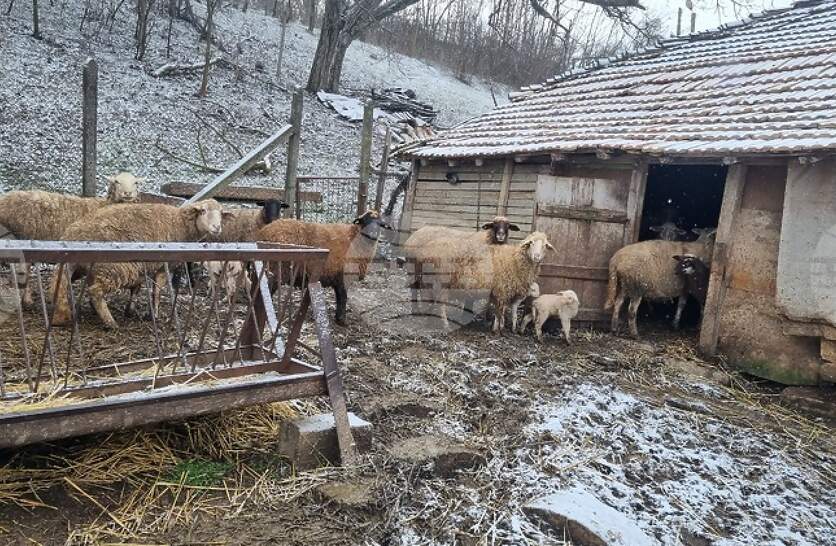 ��������� ��� � ��������� �������� ����� ���������� ��� ������� �� ���, ������� �� ������ �� 20 ����