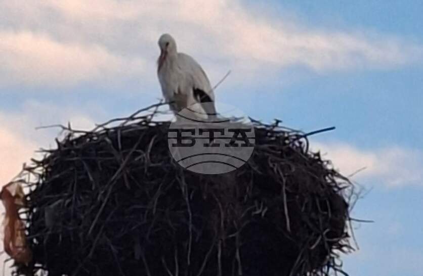 ������� ������ ��������� � ���������� ���� ������