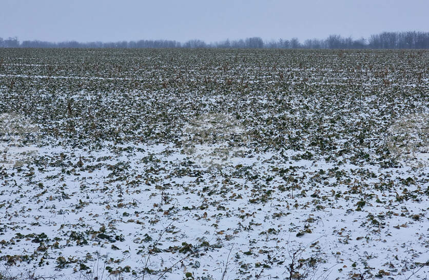 � ������ ������ ������� ����� ������� �� ������������ ������ �� �������� � ����������