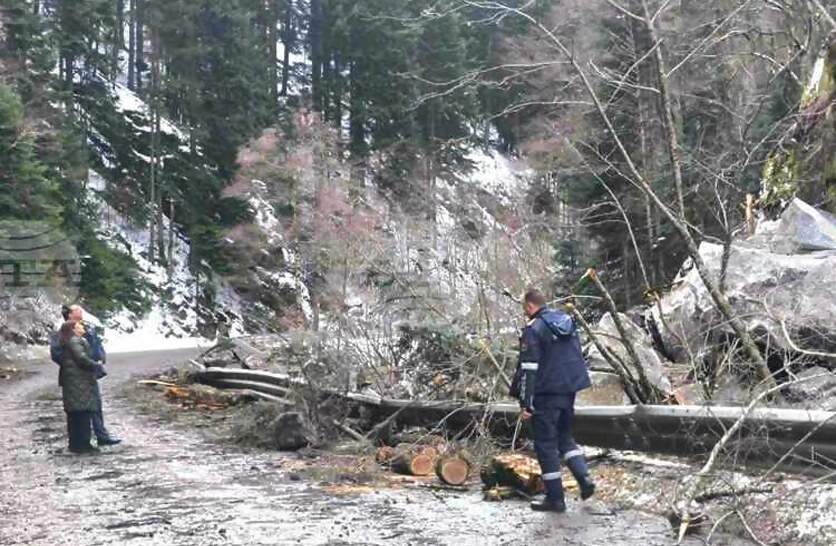 ����� ��������� � ������� �� ������ �������� �� ������� �� �������������