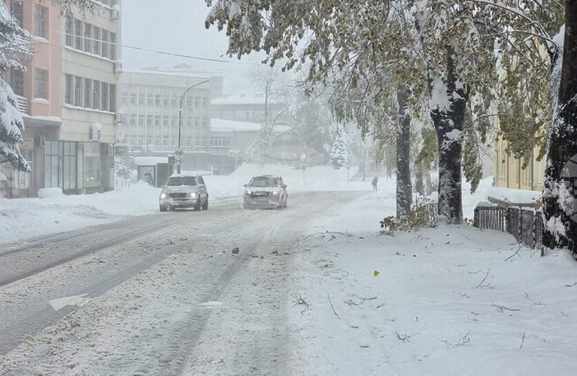 ��� 30 ���� � ������� �������� � ������ ������� �� ��� ����������������� ���� ������� ���������� ���� ���