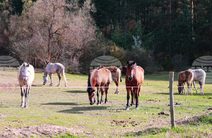 ���������� ���� ������ �� �������� ���������� � ����������� �����