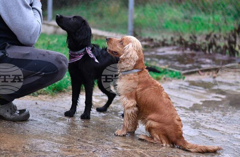 � ������� ����� �� ������� ������� �� ������� 109 ����, � � ������ �� �������� � 337