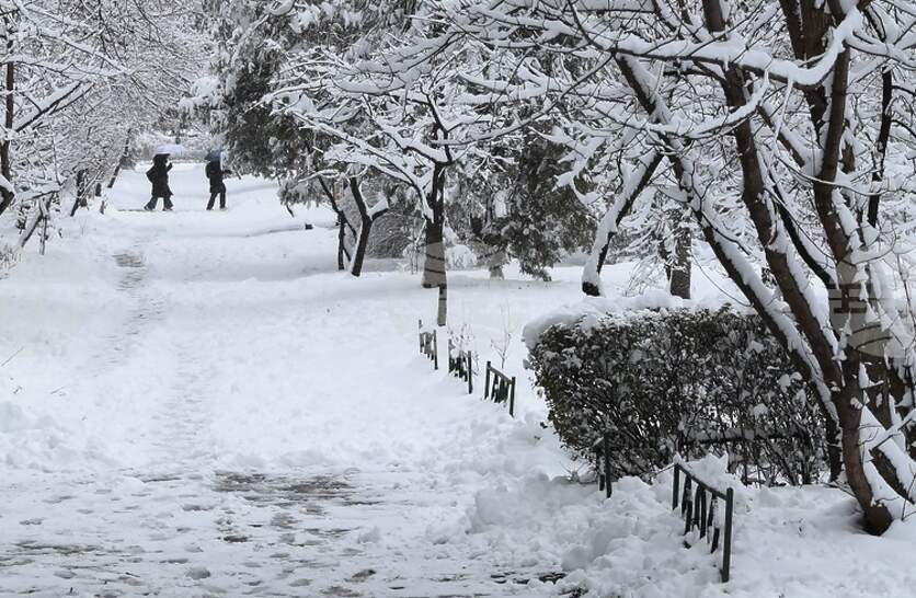 ���� ���� ����� ��� ������ ������, �� �������� � ���� ����� �� ���� �� ����, ��� ������������ � �������� �� �� �������� ������� ��������