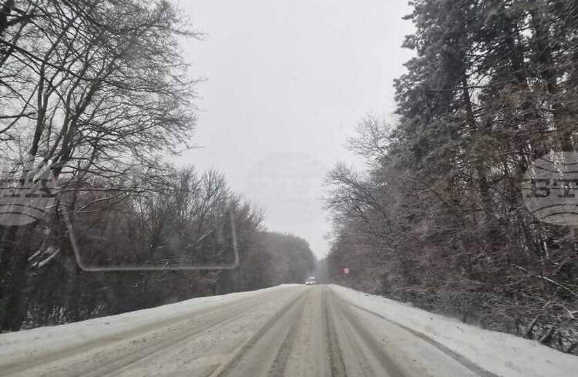 ����� ���� � ������� � ����� � �������� �� �������� �� ������������ ���������� ��� 12 ���� ������ ���������� � ���������������