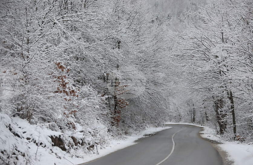 �� ��� �������� ��������� �� ������� � ����������, ������ �� ����� �������, ������ ���������� �����������