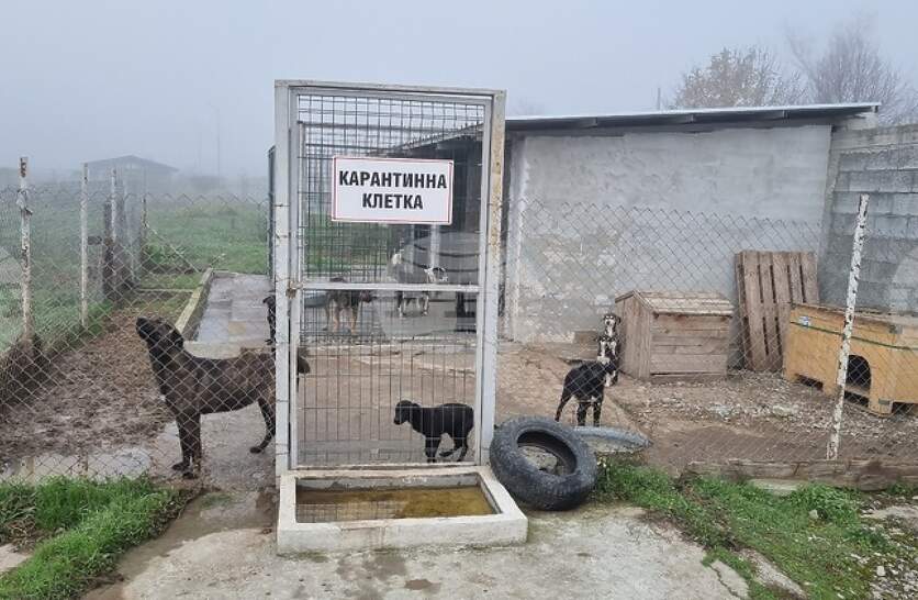 ��� 220 ������ �� ���������� � ��������� ����� � ��������� ���� 2025 ������