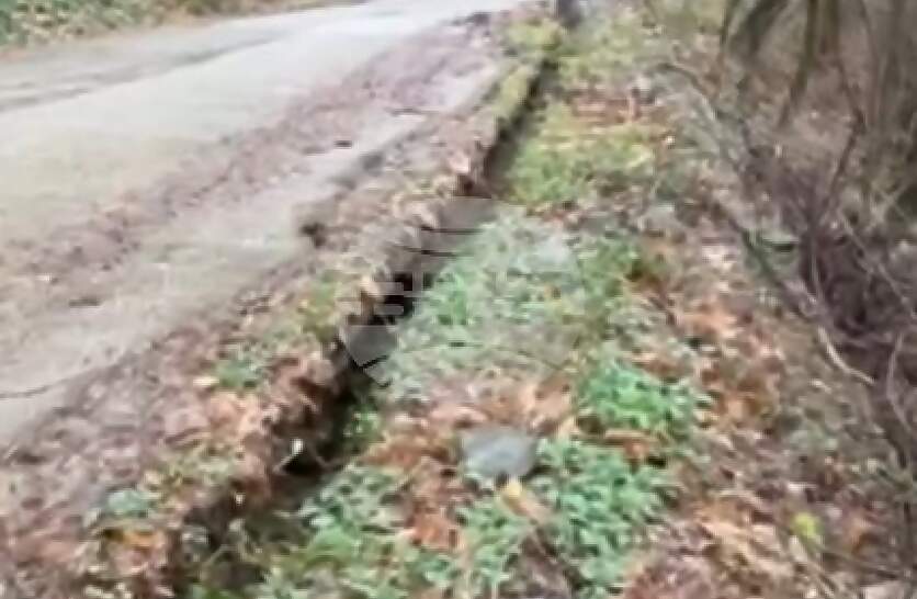 ������ ������ ���������� ����� �� ������������� �� ���� ��� ���� 