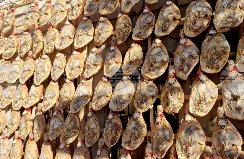 � ��� ������������ ����� �� ������� ������ ����� ���� ��������