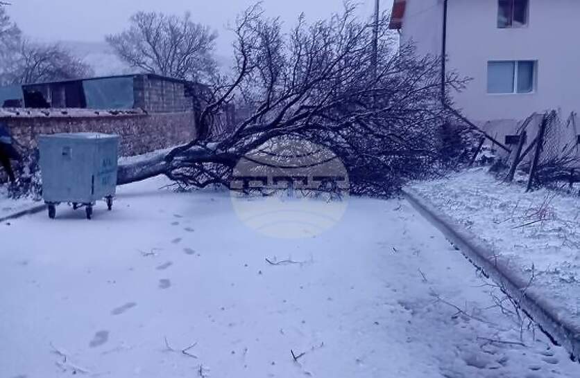 ����� �� ��������� � ������ �� �� �������� �� 14 ������� �� ������� ������� ���� ���������� ���������