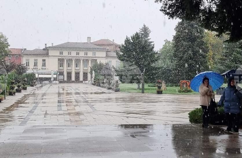 ������ ����� � ���� �� �������� ����� �� ������ �� ��������� ������� �� 2024 �., ���� ����� �� ���