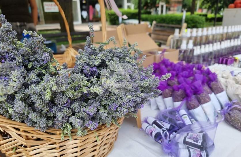 ������������ ���������-������������ ��������� � ����� �� ��� ��������� ������� �� 14 ��������