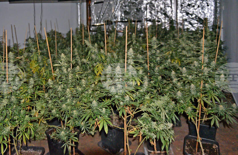 ��������� ������� ���, ��������� � ���� �� ��� 250 �������� �� ���� �� ������