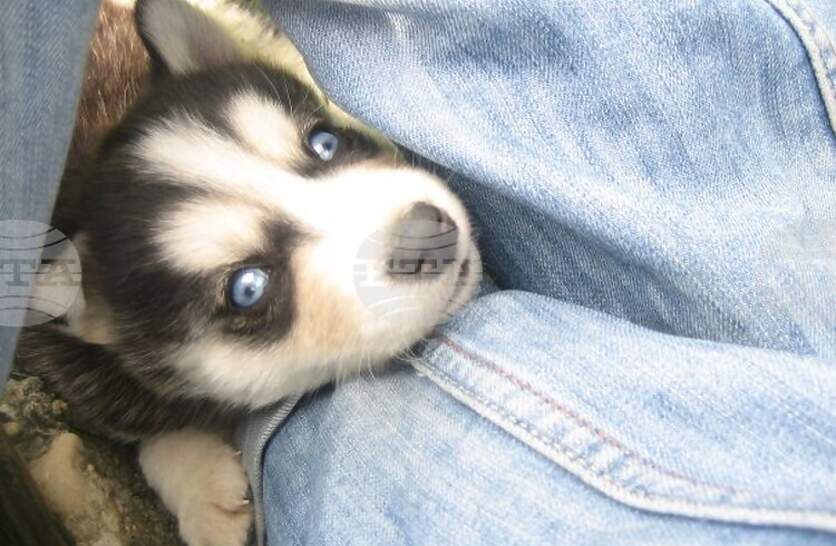 ������������� �������� �� ���������� �� ��������� ������� ������� � ������ �����