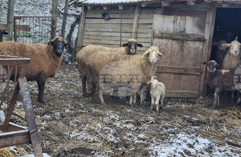 ����� ���� �� ���������� ��� ����������� ����������� �� ��������� ����������� � ��������� �� ������ �� ��������������� �������