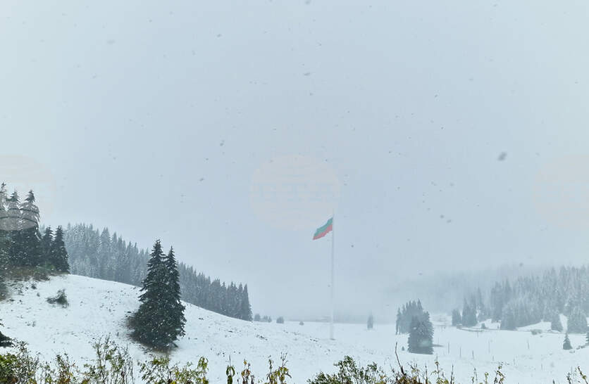 ��������� ��������� ����� ������ ������ ������ ������� �������, ��������� ���� � ����� �����