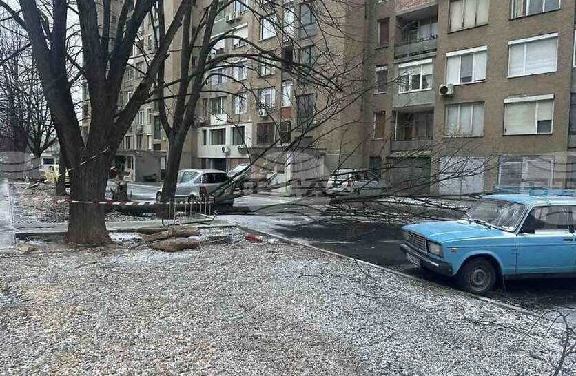 ����� �� ������ �������� � �� ��������� ������� �� ����������� �� ������� ������� � ����� ���� ������ �����