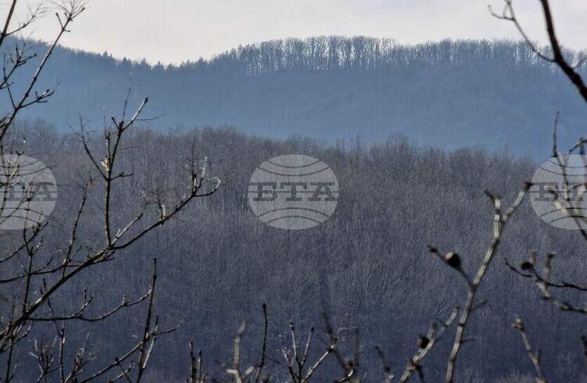 �������� �� ������� �� 18 �������� (�����) � ���������� ���