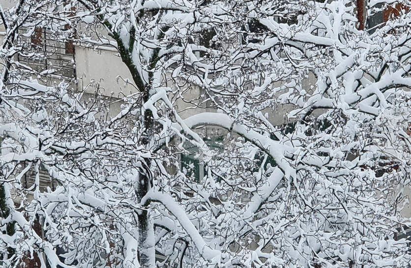 ������� ��� �� ������ �� ���� � ���� � ������ � ����� �������