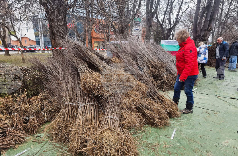 � ������ �� ����� ��������� 65 ������ ��������� ��������