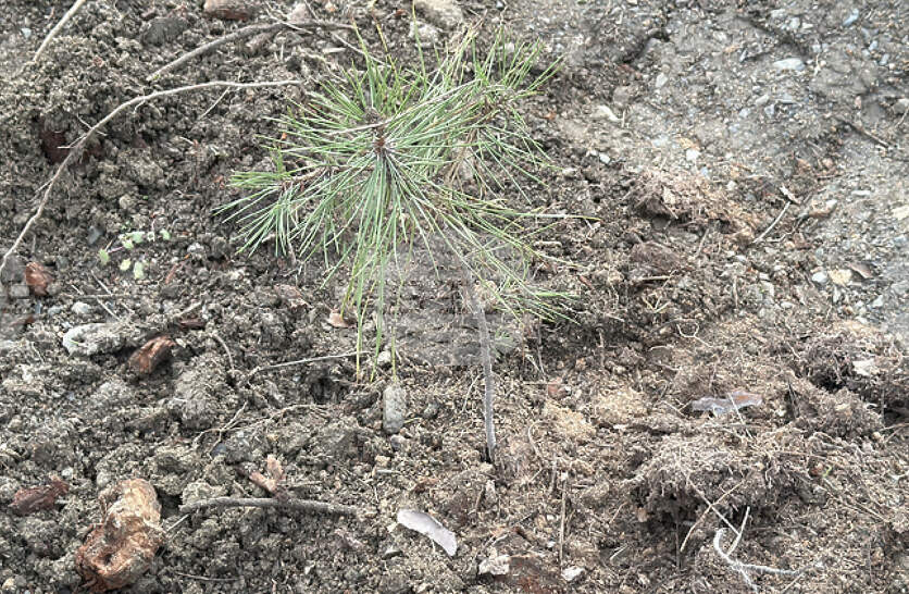 �������� ������ � ������ �������� ������������ �� ������������ ������ �� ���������� � ���������� �� ������������ �������