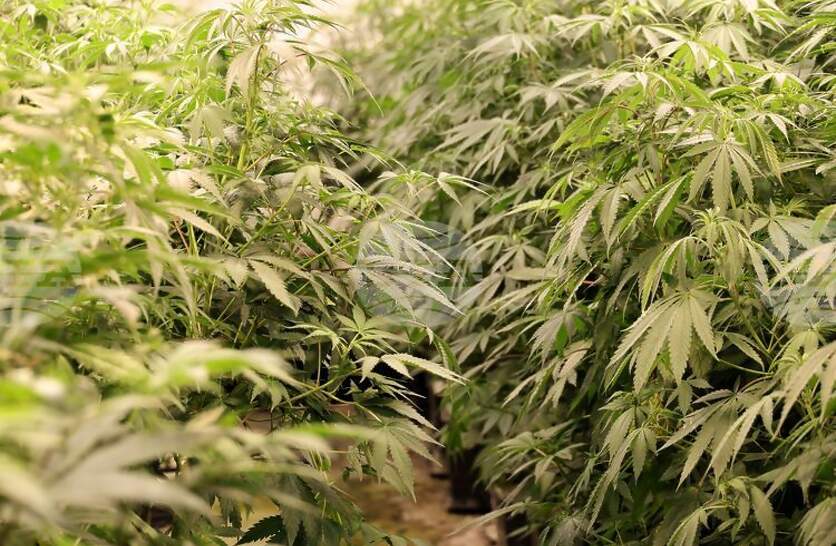 ����� ��� ����� ������ ��-���� ����� �� �������� �� ���� �� ���������