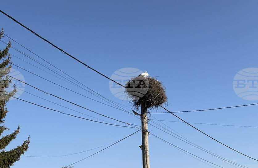 ������� ������� � ���������� �������� � ���� ������